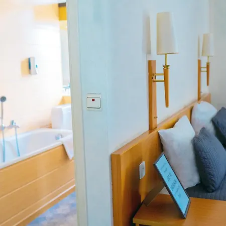 Professor Centrum 酒店 2*