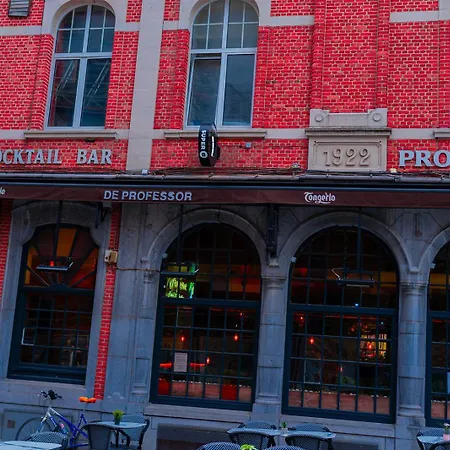 酒店 Professor Centrum