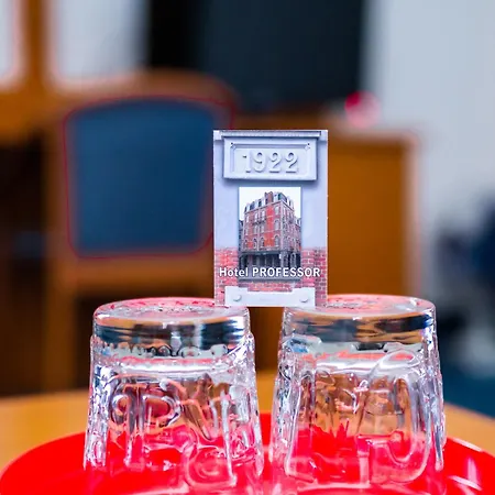 酒店 Professor Centrum 鲁汶