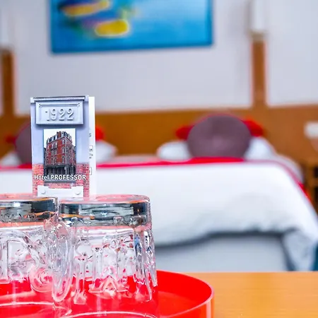 Professor Centrum 2* 鲁汶