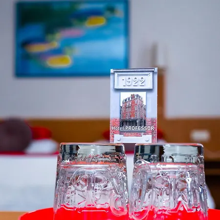 Professor Centrum 酒店