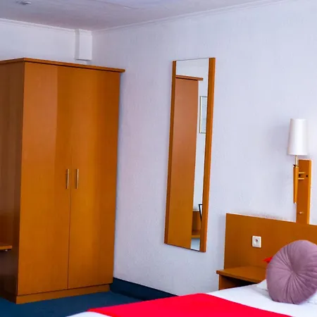 Hotel Professor Centrum 2*