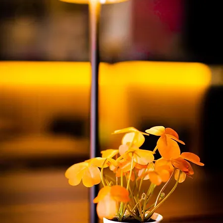 Professor Centrum 2*