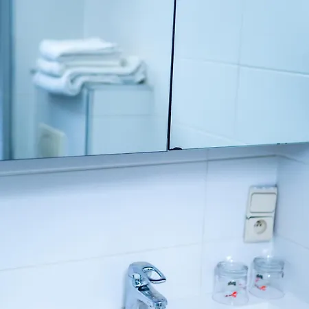 Professor Centrum 鲁汶