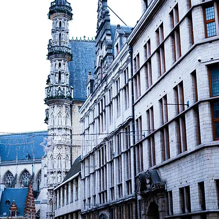 Professor Centrum Hotel 2*