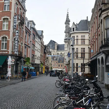 Professor Centrum Hotel