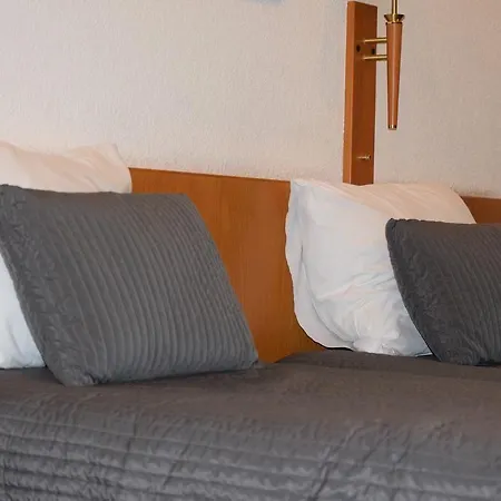 Professor Centrum Hotel 2*