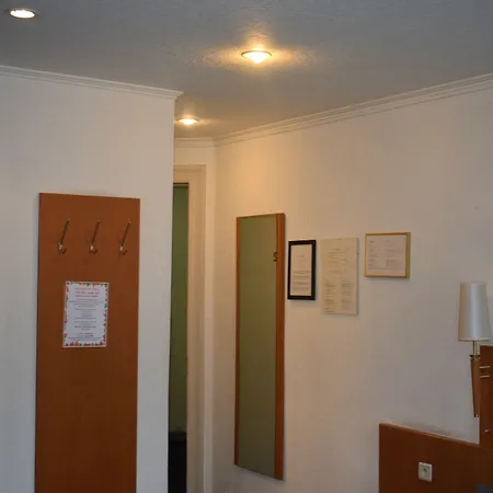 Hotel Professor Centrum 2*