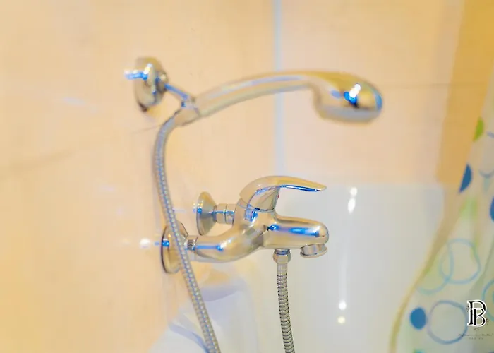 Professor Centrum Hotel 2*