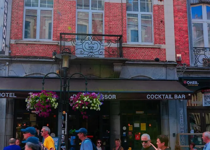 Hotel Professor Centrum 2*