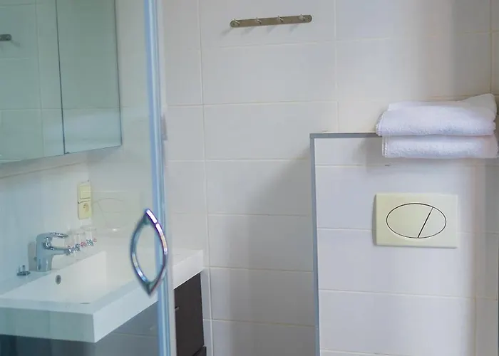 Professor Centrum Leuven