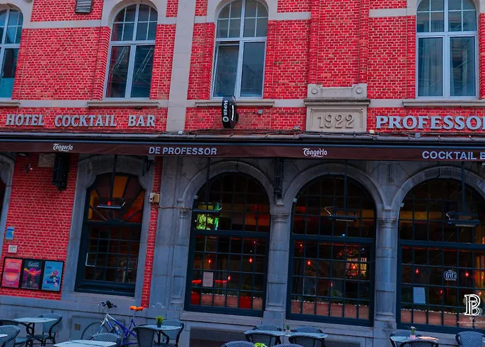 Hotel Professor Centrum