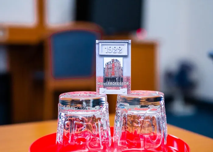 Hotel Professor Centrum Löwen