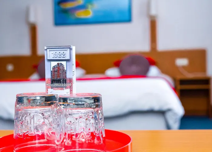 Professor Centrum 2* Leuven