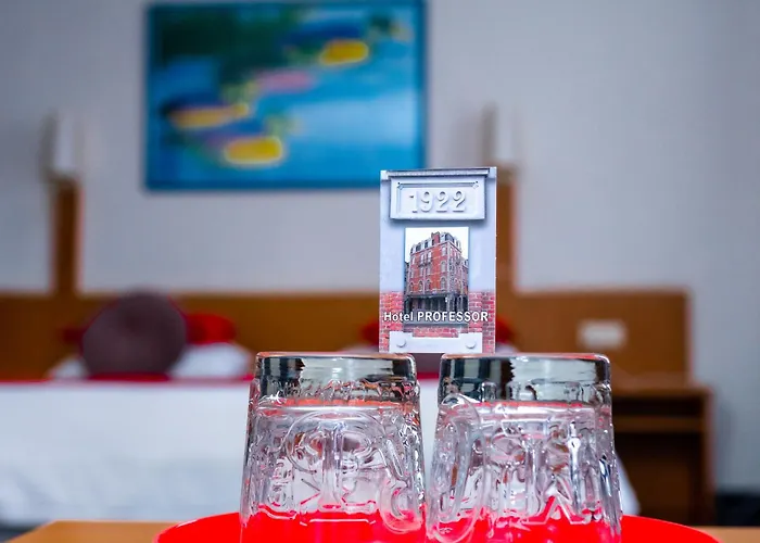 Professor Centrum Hotel