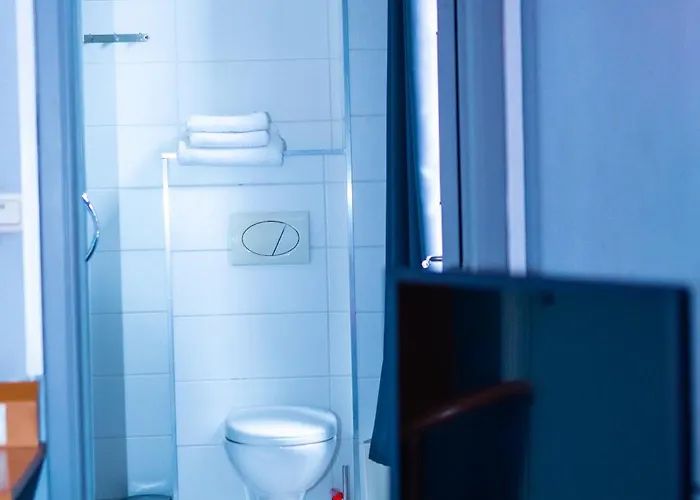 Professor Centrum Hotel 2*