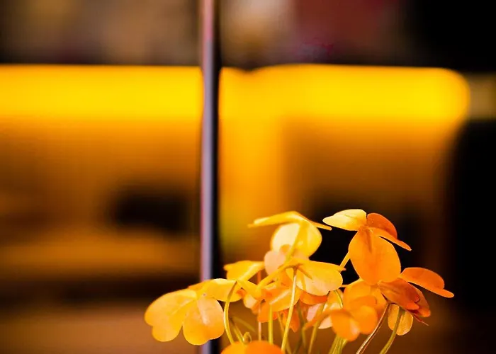 Professor Centrum 2*