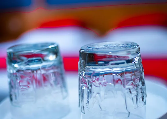 Professor Centrum Hotel