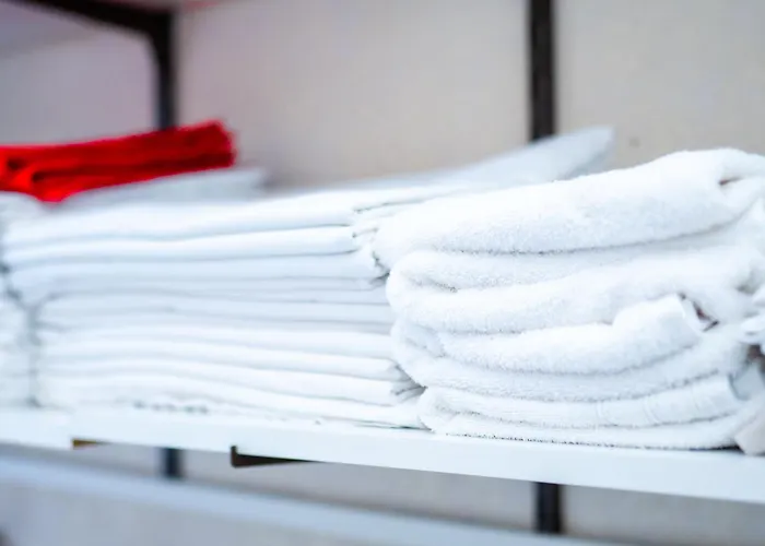 Professor Centrum Hotel Löwen