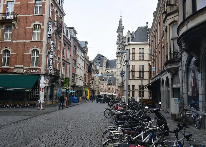 Professor Centrum Hotel