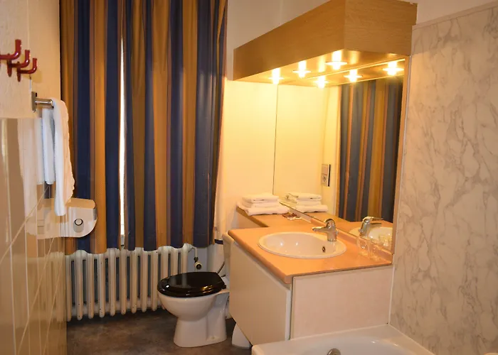 Professor Centrum Hotel Löwen