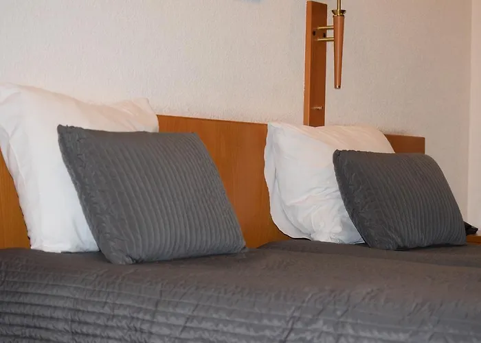 Professor Centrum Hotel 2*