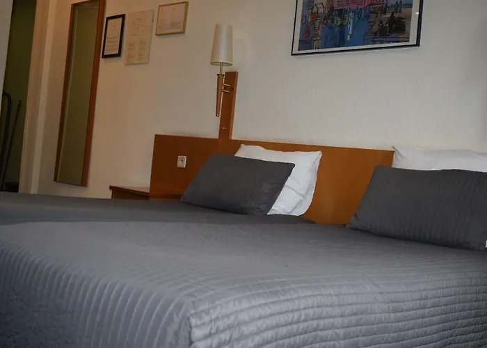 Professor Centrum Hotel