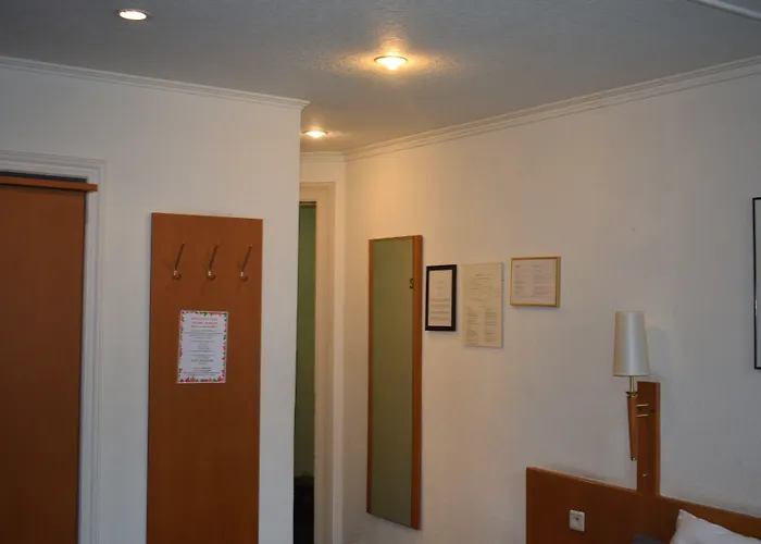 Hotel Professor Centrum 2*