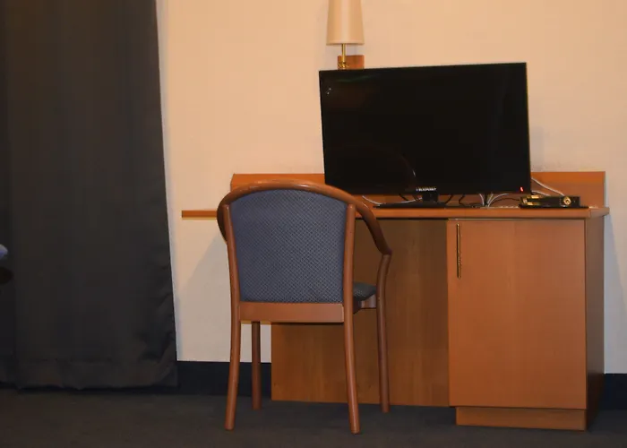 Hotel Professor Centrum